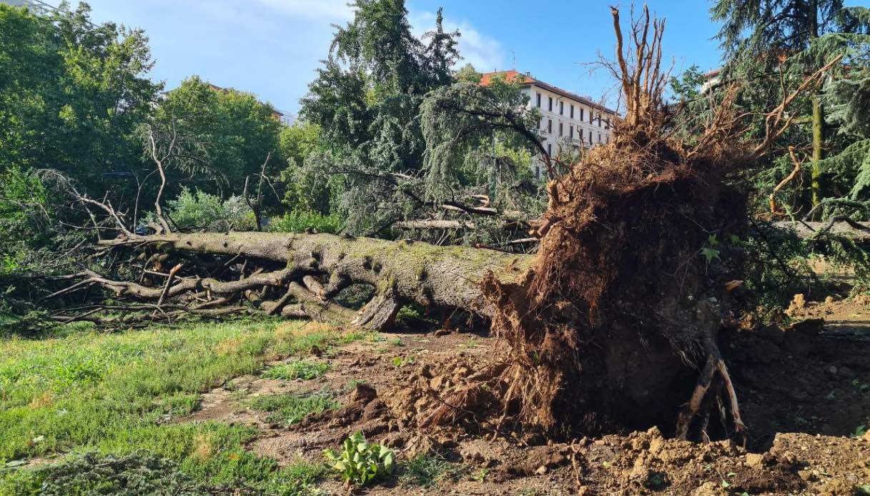 Danni per maltempo, chi paga e come chiedere il risarcimento