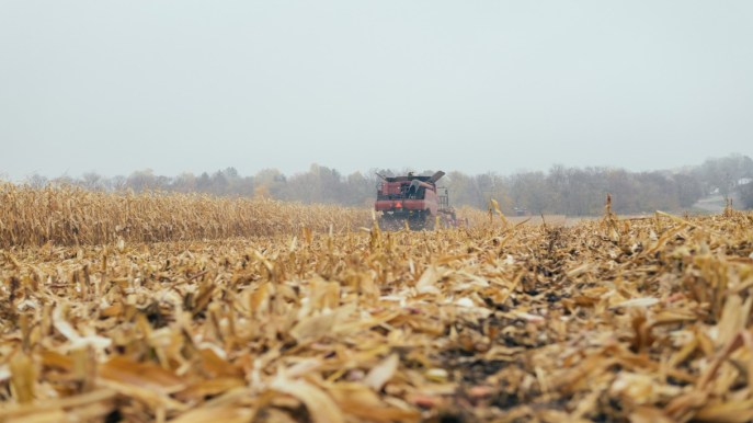 Così il caldo spazzerà via le imprese italiane: chi rischia di più