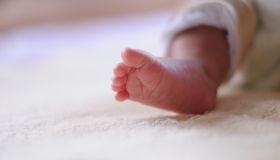 Bonus cicogna, al via le domande per i bimbi nati o adottati