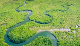 La deforestazione in Amazzonia si è dimezzata nel 2023