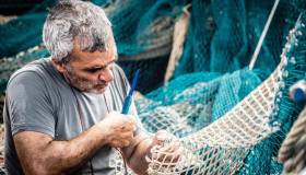 Stop al pesce fresco per un mese: ecco dove