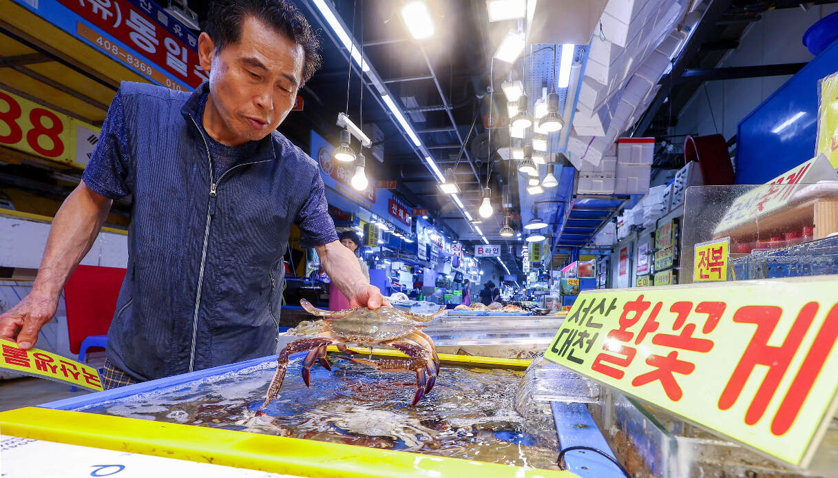 Fukushima, pesce contaminato dal Giappone? Quali rischi in Italia