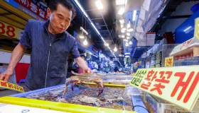 Fukushima, pesce contaminato dal Giappone? Quali rischi in Italia