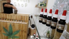 Cannabis light, il governo Meloni cambia tutto: dove sarà venduta