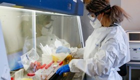 Virus del cervo zombie, la malattia da prioni in Europa. Ipotesi zoonosi: cosa significa