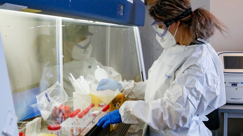 Cos’è la malattia X che può causare una pandemia con 50 mln di morti