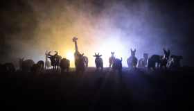 Animali in pericolo: le specie che rischiano di più l’estinzione