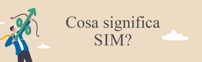 SIM