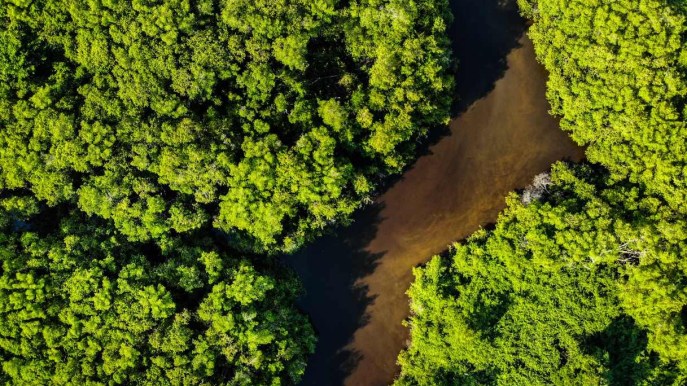 Carbon offsetting, nasce il nuovo rating italiano per le aziende