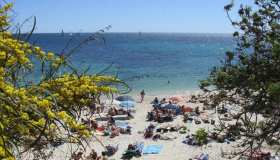 Aumentano turismo e concerti: la pandemia è ufficialmente alle spalle