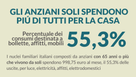 Anziani soli: il 55,3% delle entrate va in spese per la casa