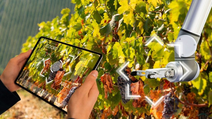 Vigne sempre più tech: via al progetto che avvicina produttori di vino e startup