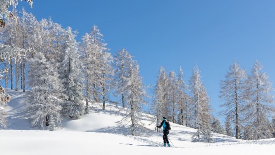 Settimana bianca sostenibile, si può: dove sciare in Italia rispettando l’ambiente