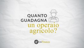 Quanto guadagna un operaio agricolo