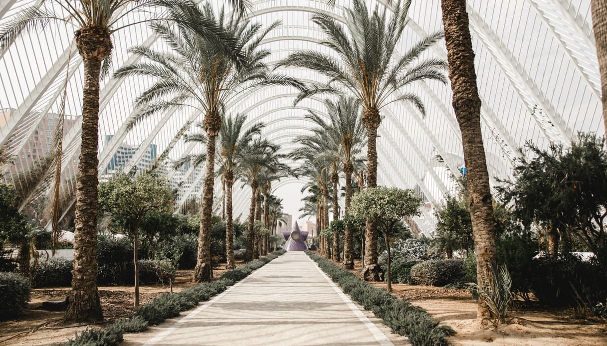 Città sostenibili, Valencia capitale verde 2024: &#8220;il faro&#8221; delle politiche green in Europa