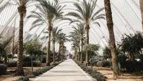 Città sostenibili, Valencia capitale verde 2024: “il faro” delle politiche green in Europa