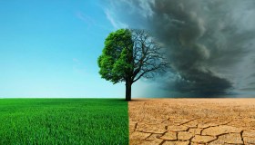 Ambiente in Italia, luci e ombre dal Rapporto Snpa 2023, bene rinnovabili e differenziata, male emissioni e consumo di suolo