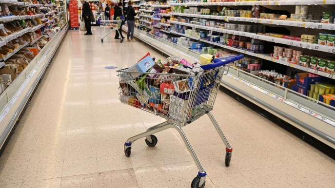 Polli Lidl e white striping: cos’è questa grave malattia