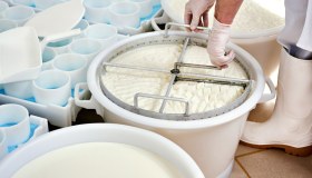 È morto Dario Osella, fondatore delle Fattorie Osella: aveva 92 anni