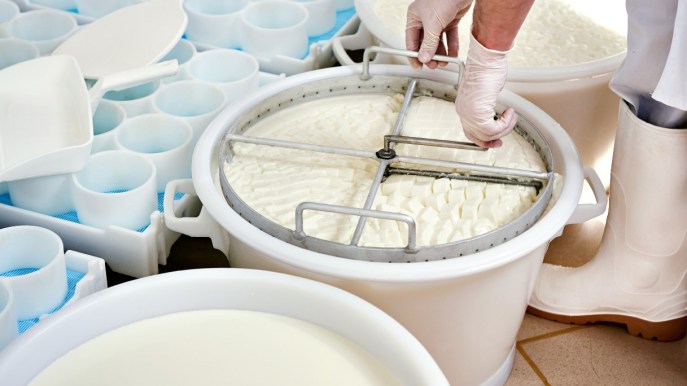 È morto Dario Osella, fondatore delle Fattorie Osella: aveva 92 anni