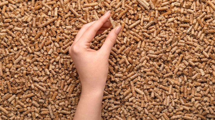 Pellet, inquina più di petrolio e carbone: lo rivela un nuovo studio