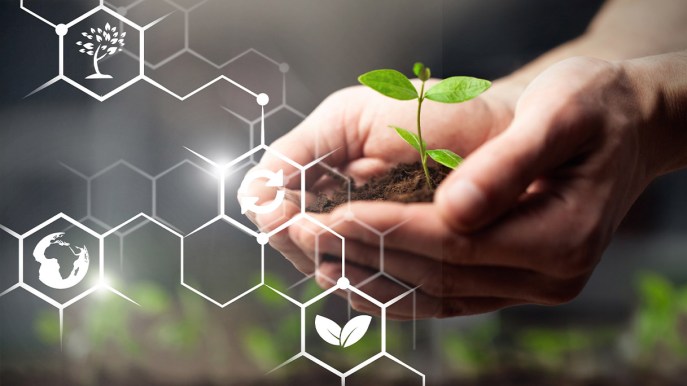 Bioeconomia, incide per l’11% sul valore della produzione dell’economia nazionale