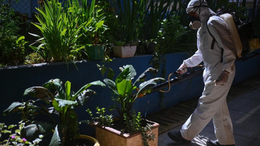 Dengue, verso la peggiore epidemia della storia in America. Italia prima in Europa per casi