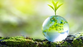 Greenhushing, quando il greenwashing entra in crisi: quali sono i rischi