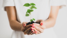 Perché le donne (che fanno impresa) sono più sostenibili, cos’è l’eco gender gap