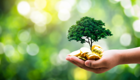 Green e Sustainability Bond: cosa aspettarsi nel 2024