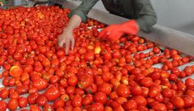 Conserve Italia assume 1.350 operai: le province interessate e come candidarsi