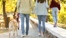 Qualità della vita, le province in cui si vive meglio per fasce d’età: la classifica per bambini, giovani e anziani