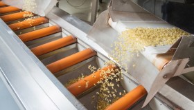 Grano duro, produzione in Italia a quota -15%: si temono aumenti su pasta e pane