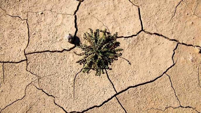 Desertificazione e siccità sono le sfide più urgenti, il 40% della superficie è degradata