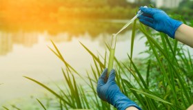 Nature Restoration Law, entro il 2030 il 20% delle aree terrestri e marittime verrà ripristinato