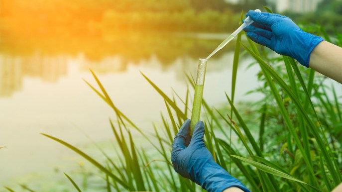 Nature Restoration Law, entro il 2030 il 20% delle aree terrestri e marittime verrà ripristinato