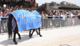 Varenne e la truffa del seme rubato: quanto valgono i figli dello stallone