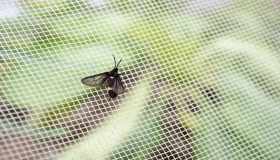 Zanzariere in condominio, quali permessi servono? Possono essere vietate?