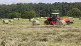 Il decreto Agricoltura è legge, le novità: lotta al caporalato e restrizioni impianti fotovoltaici