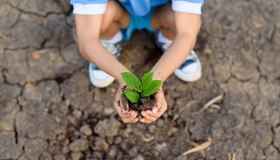 I 10 progetti di riforestazione che rendono il pianeta più sano