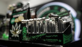 Cannabis light torna illegale in Italia: 800 aziende in bilico, a rischio 11mila posti di lavoro