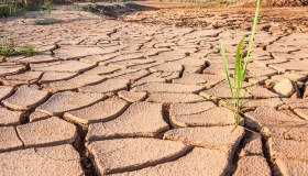 Geoingegneria, le possibili soluzioni per contrastare il cambiamento climatico