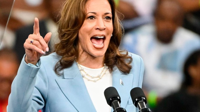 Kamala Harris, chi sono i miliardari che la sostengono da George Soros a Melinda Gates