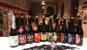 Eccellenza del Lambrusco e innovazione vinicola