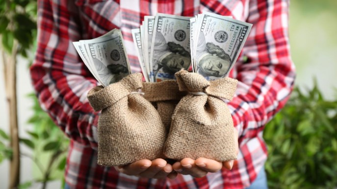 Crowdfunding cos’è, come funziona, vantaggi e rischi e qualche esempio