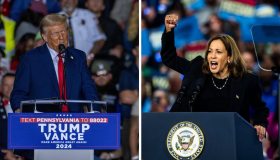 Alle elezioni Usa gli italiani voterebbero Harris, Trump solo al 22%