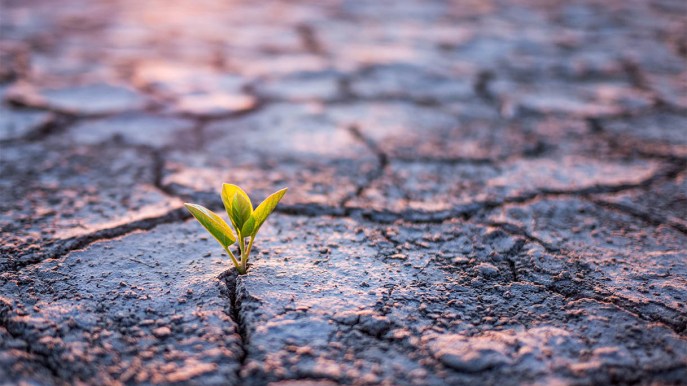 Cambiamento climatico, per l’82% degli italiani è in atto causato delle attività dell’uomo