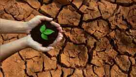 La perdita della biodiversità costa ogni anno il 6% del Pil globale