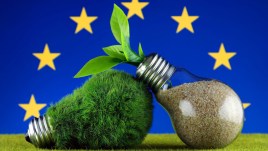 Green Deal, novità e ultimi investimenti: programma Life e Ripristino della natura