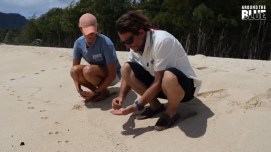 Plastica invisibile, cuore delle spiagge hawaiane